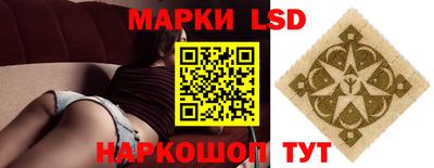 амф Можга