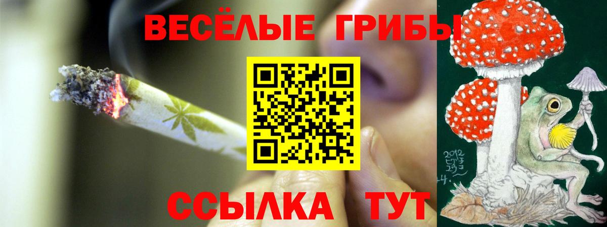 Псилоцибиновые грибы мухоморы  Вход с VPN  Черкесск 